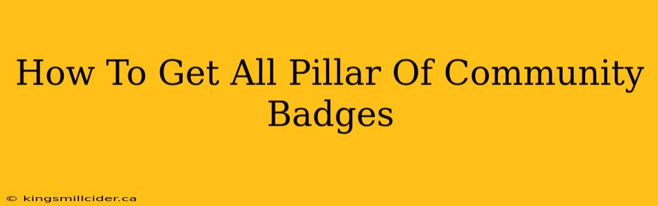 How To Get All Pillar Of Community Badges