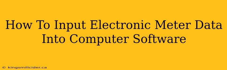 How To Input Electronic Meter Data Into Computer Software