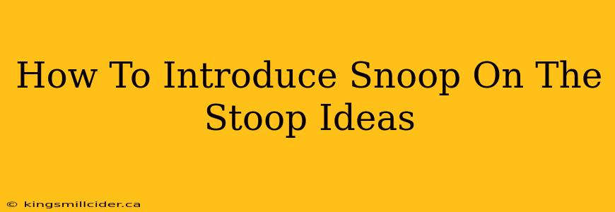 How To Introduce Snoop On The Stoop Ideas