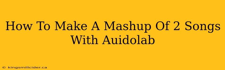 How To Make A Mashup Of 2 Songs With Auidolab