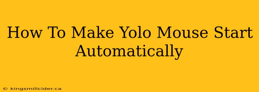 How To Make Yolo Mouse Start Automatically