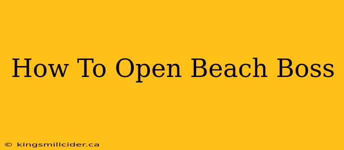 How To Open Beach Boss