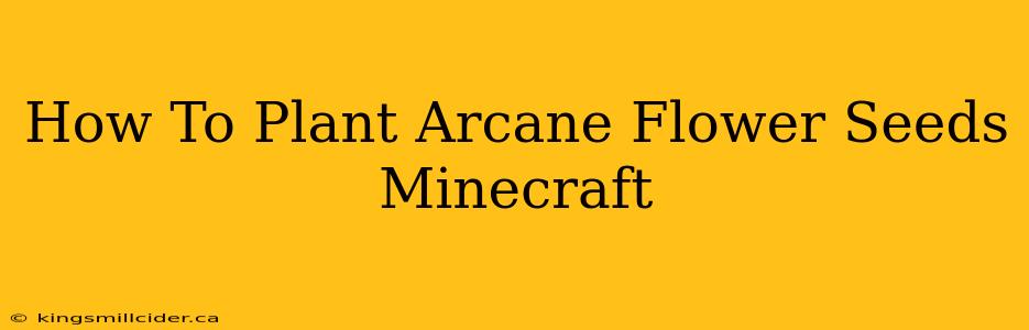 How To Plant Arcane Flower Seeds Minecraft