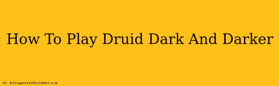 How To Play Druid Dark And Darker