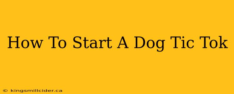 How To Start A Dog Tic Tok