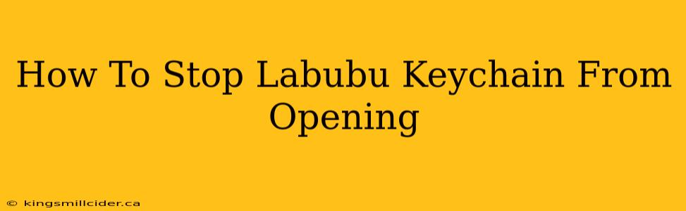 How To Stop Labubu Keychain From Opening