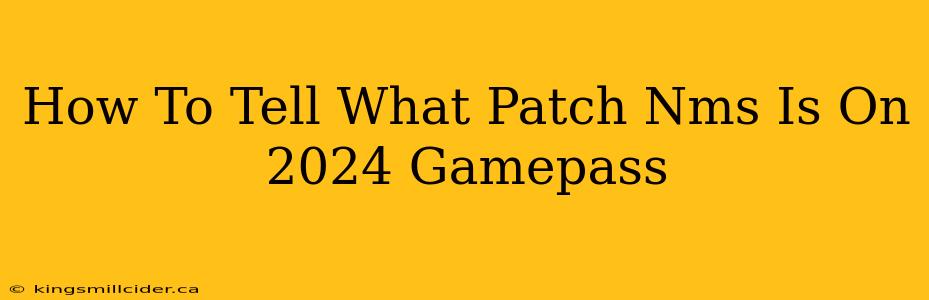 How To Tell What Patch Nms Is On 2024 Gamepass