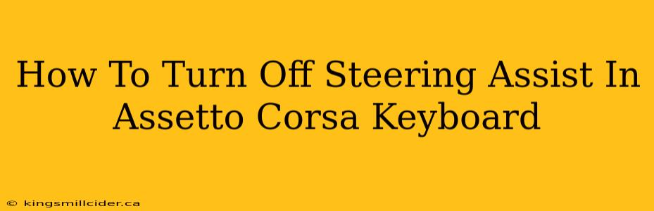 How To Turn Off Steering Assist In Assetto Corsa Keyboard