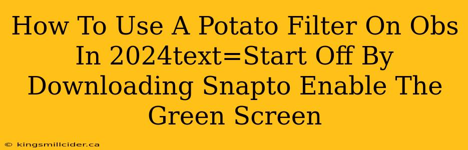 How To Use A Potato Filter On Obs In 2024text=Start Off By Downloading Snapto Enable The Green Screen