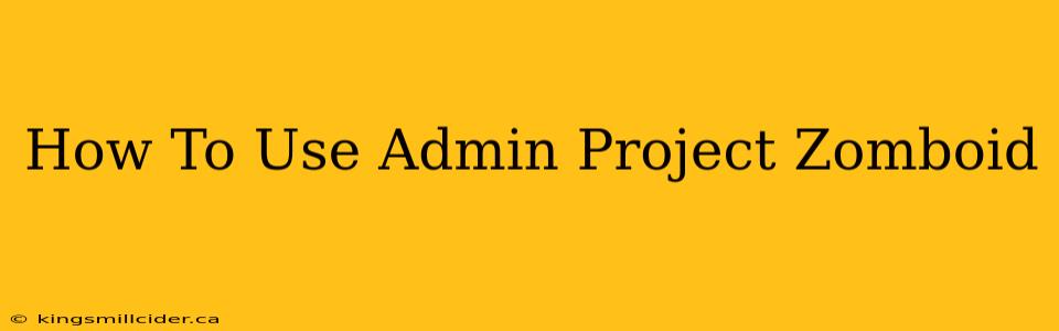 How To Use Admin Project Zomboid