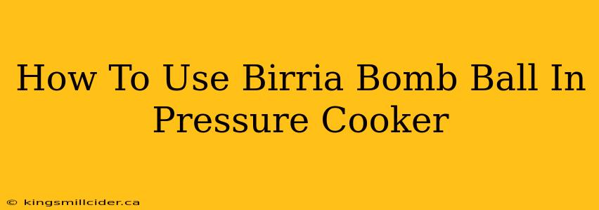 How To Use Birria Bomb Ball In Pressure Cooker