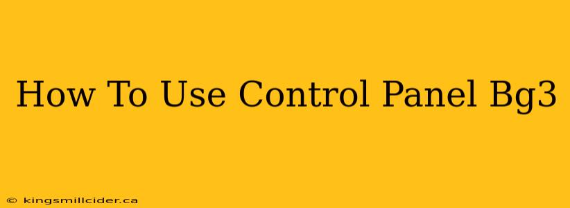 How To Use Control Panel Bg3