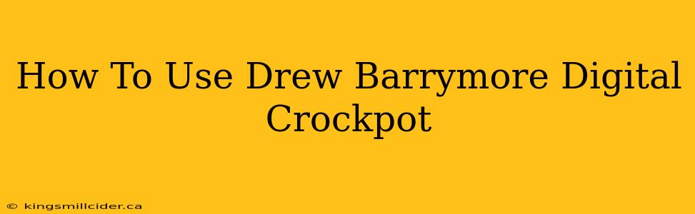 How To Use Drew Barrymore Digital Crockpot