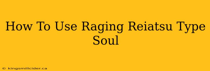 How To Use Raging Reiatsu Type Soul