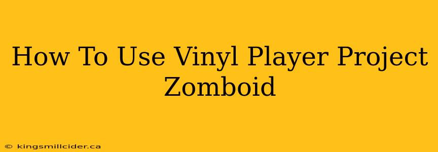 How To Use Vinyl Player Project Zomboid