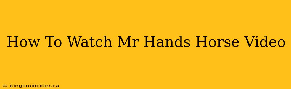 How To Watch Mr Hands Horse Video