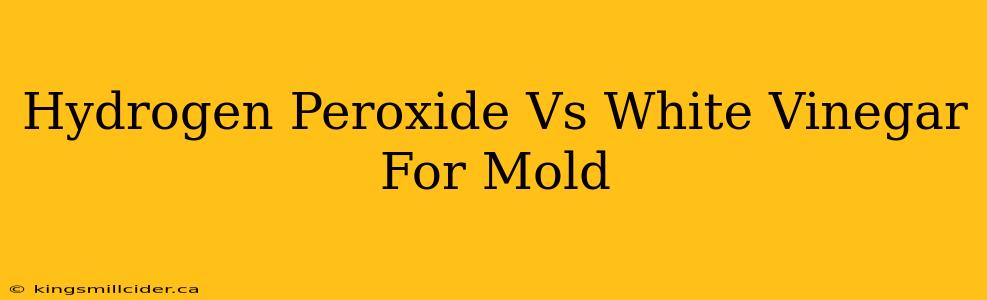 Hydrogen Peroxide Vs White Vinegar For Mold