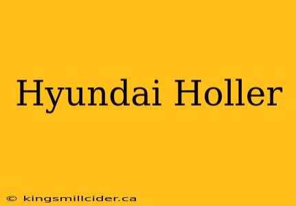 Hyundai Holler