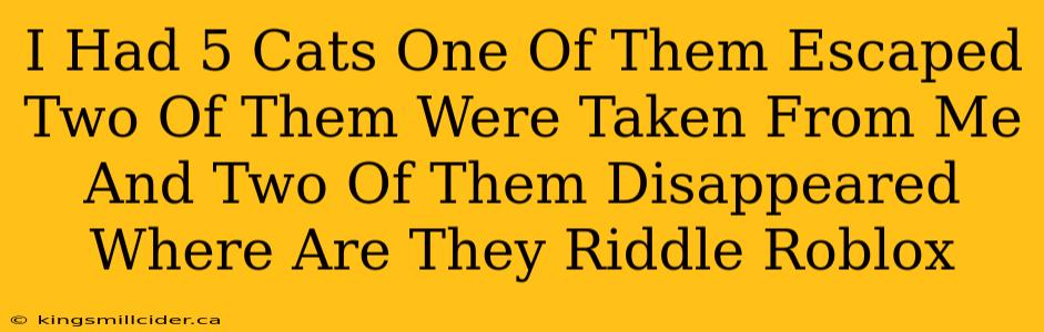 I Had 5 Cats One Of Them Escaped Two Of Them Were Taken From Me And Two Of Them Disappeared Where Are They Riddle Roblox