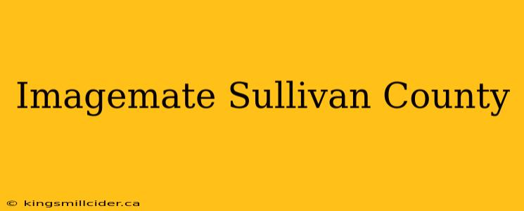 Imagemate Sullivan County