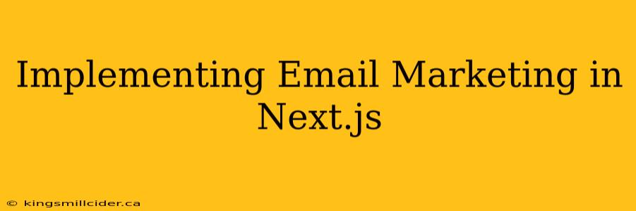 Implementing Email Marketing in Next.js