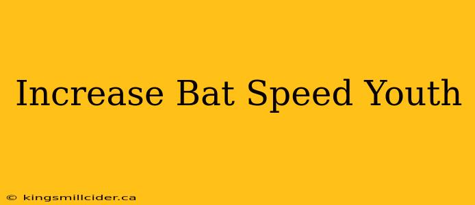 Increase Bat Speed Youth