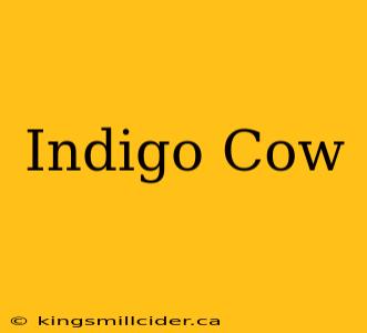 Indigo Cow