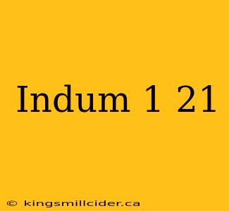 Indum 1 21