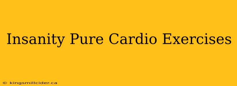 Insanity Pure Cardio Exercises