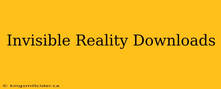 Invisible Reality Downloads