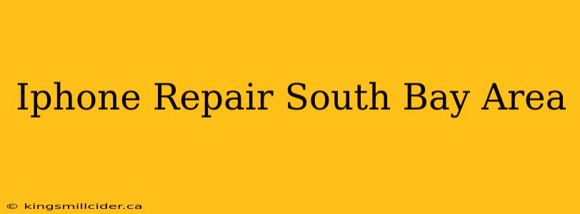 Iphone Repair South Bay Area