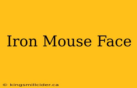 Iron Mouse Face