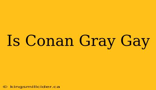 Is Conan Gray Gay