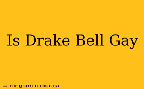 Is Drake Bell Gay