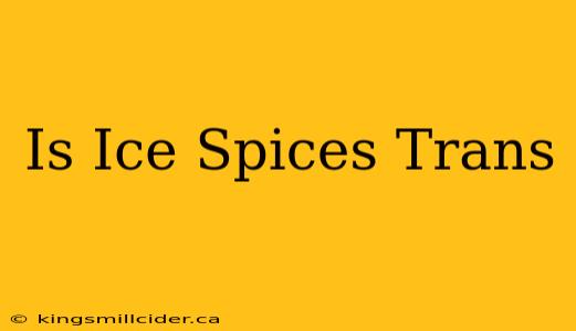 Is Ice Spices Trans