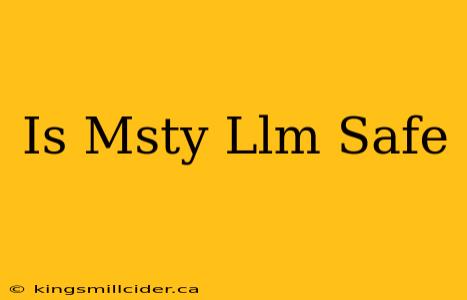 Is Msty Llm Safe