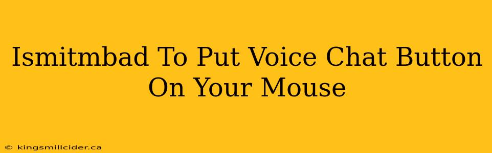 Ismitmbad To Put Voice Chat Button On Your Mouse