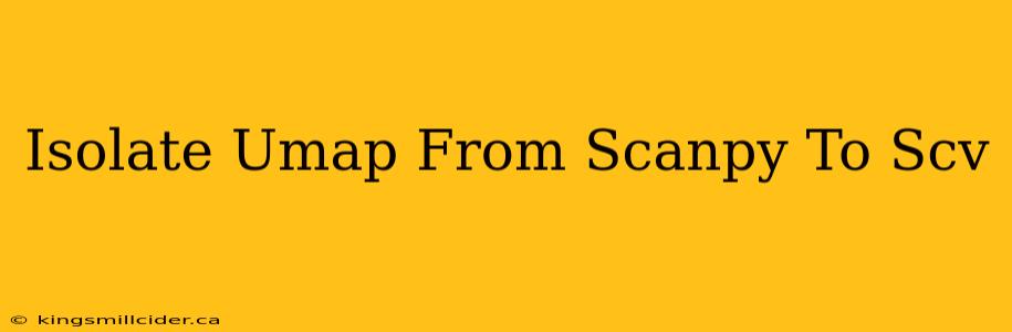 Isolate Umap From Scanpy To Scv