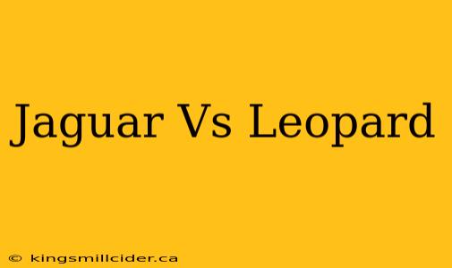 Jaguar Vs Leopard