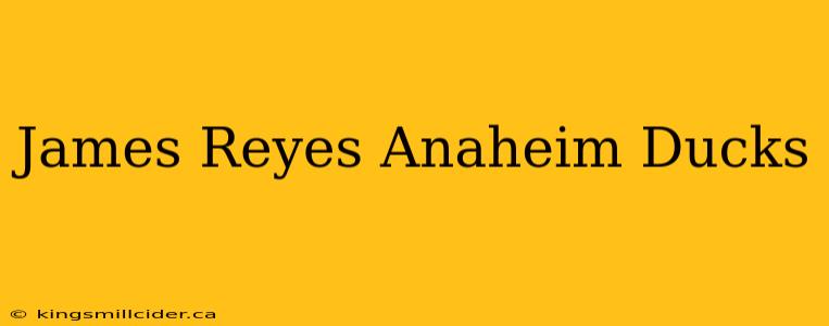 James Reyes Anaheim Ducks