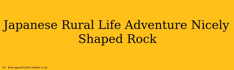 Japanese Rural Life Adventure Nicely Shaped Rock