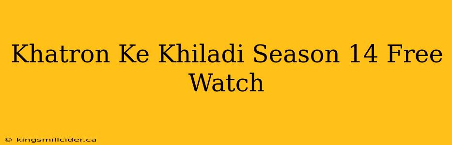 Khatron Ke Khiladi Season 14 Free Watch