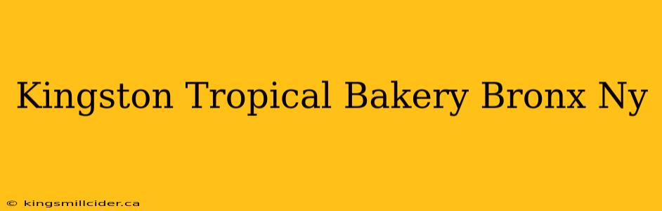 Kingston Tropical Bakery Bronx Ny