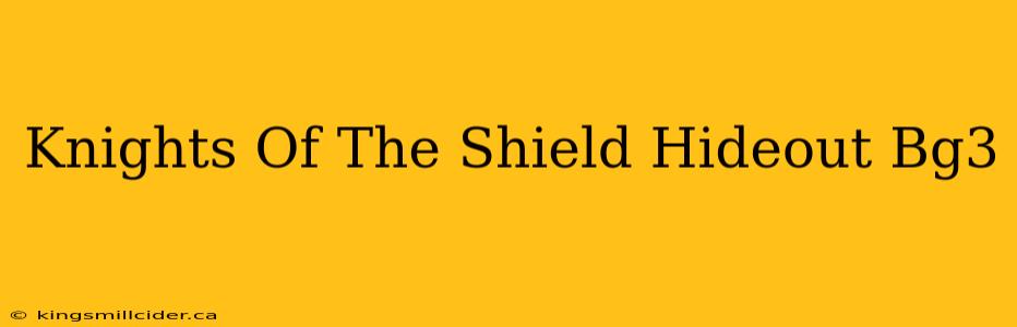 Knights Of The Shield Hideout Bg3