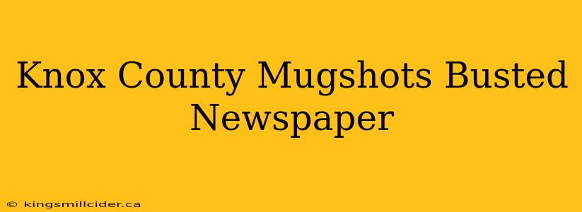 Knox County Mugshots Busted Newspaper