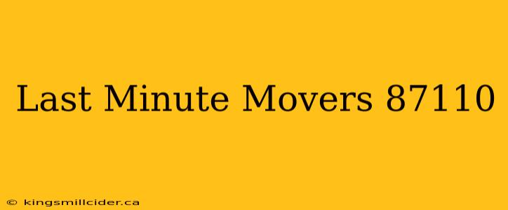 Last Minute Movers 87110