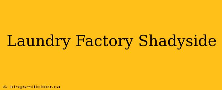 Laundry Factory Shadyside