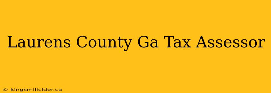 Laurens County Ga Tax Assessor