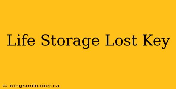 Life Storage Lost Key