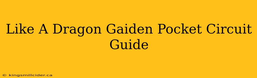 Like A Dragon Gaiden Pocket Circuit Guide